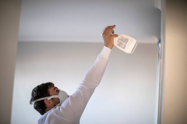 Best Preventive Mold Services in Fox Lake Hls, IL
